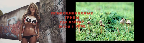 индика Волоколамск