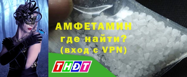 индика Волоколамск