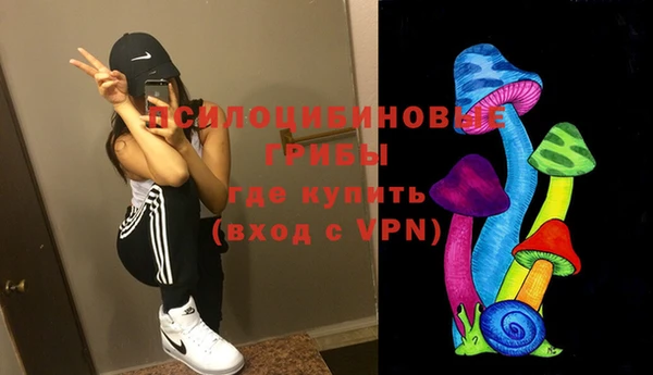 индика Волоколамск