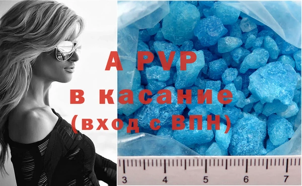 индика Волоколамск