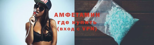 индика Волоколамск