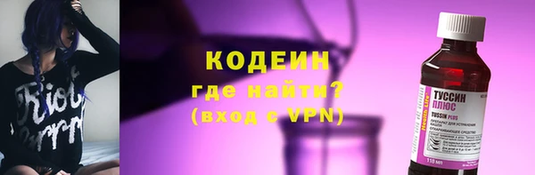 индика Волоколамск