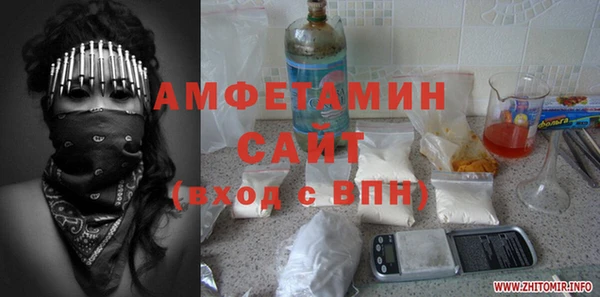 индика Волоколамск