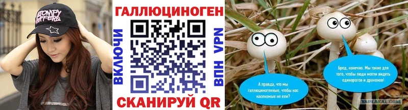 Галлюциногенные грибы Psilocybe  Калязин 